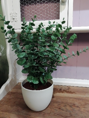 Artificial Eucalyptus Plant